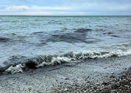 Туапсинський курортник, обмурзаний у мазут, виліз із води: "Белый песок, говоришь?" ВІДЕО Туапсинський курортник, обмурзаний у мазут, виліз із води: "Белый песок, говоришь?" ВІДЕО